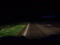 Króliczek Duracella na drodze