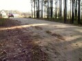 Świnie u Szwagra