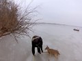 Na pomoc jeleniom