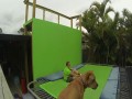 Trick na trampolinie +18
