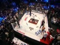 Fedor w formie