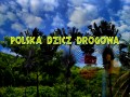 Bezmyślność Polskich kierowców