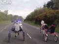 Szybcy i wściekli, nielegalne wyścigi cyganów koniami na autostradzie
