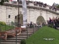 Fail - kompilacja Marzec 2014