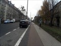 Oślica po drodze rowerowej