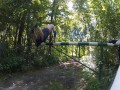 Nieudane akcje parkourowca