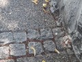 Jak ludzie widzą Tuska