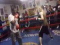 Floyd Mayweathers Father Gets Sucker Punched In A Sparring Match!