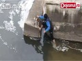 Wdzięczny piesek