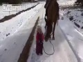 Dziewczynka i jej zwierzak