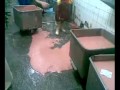 Jak powstają parówki w Rosji