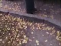 Cyganka dostała gazem pieprzowym w twarz