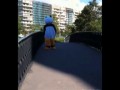 Chuligan vs Panda