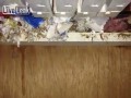 Skrzynka bezpieczników i mała niespodzianka