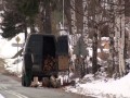 Rąbanie drzewa na drodze