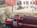 Jak strażacy ratują kota z drzewa