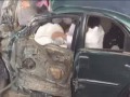 Arab w samochodzie (idiota na drodze?)