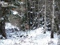 Odejdź stąd!