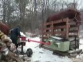 Poznajcie moc jednego konia