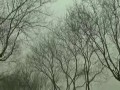 Słoneczny dzień w Pekinie