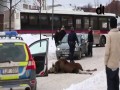 Łoś samobójca