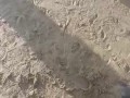 Ciekawość ... pierwszy krok do bycia ... mokrym 