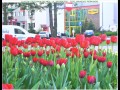 21.04.2014 Trzcianka - Ul. Sikorskiego
