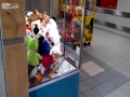 Cygańskie dziecko okrada automat z maskotkami
