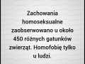homoseksualizm i homofobia u zwierząt i ludzi