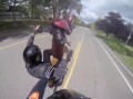 Harley Wheelies 13