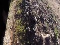 Krowa vs Quad