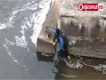 Szczęście i wdzięczność psa po uratowaniu