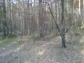 Kolejny polski absurd ...