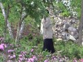 Chytra baba - wersja ogrodniczka