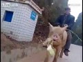 Nowy środek transportu 