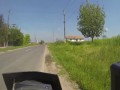 Końska niespodzianka na drodze