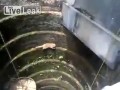 Indyjski spiderman