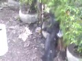 Myślał, że rządzi na dzielnicy