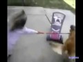 Video - Compilation Fail girls
