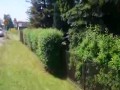 Pomysłowość Straży Miejskiej z Poręby