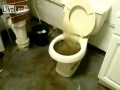 WC prosto z koszmaru