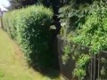 Pomysłowość Straży Miejskiej z Poręby