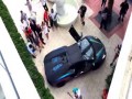 Nie gazuj Lamborghini przy żywopłocie