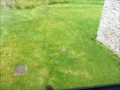 Dwie pustułki utknęły za szklanym balkonem