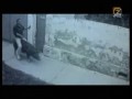 Riding a pig