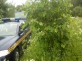 Palec Funkcjonariusza - Yozin z Brzezin pokazuje środkowy Palec