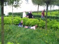 Za krzaczkami akcja piesek