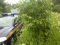 Chamstwo strażnika miejskiego