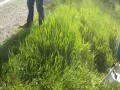 Strażnik miejski ujmuje kolesia z kamerą