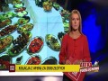 Kolacja z aferą za 2000zł